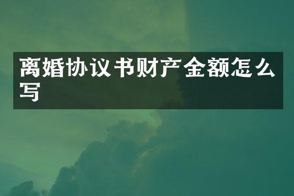 离婚协议书财产金额怎么写