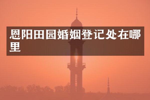 恩阳田园婚姻登记处在哪里