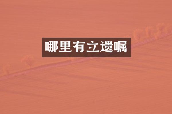 哪里有立遗嘱