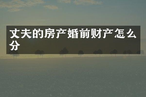 丈夫的房产婚前财产怎么分
