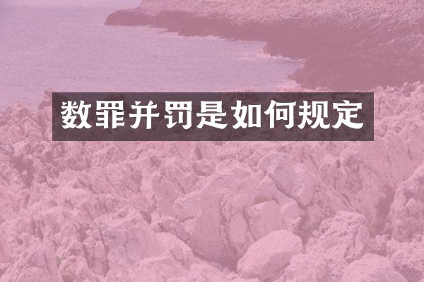 数罪并罚是如何规定