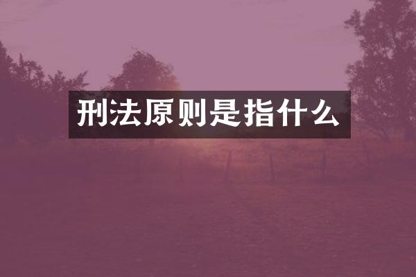 刑法原则是指什么