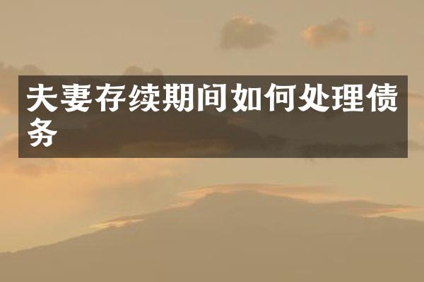 夫妻存续期间如何处理债务