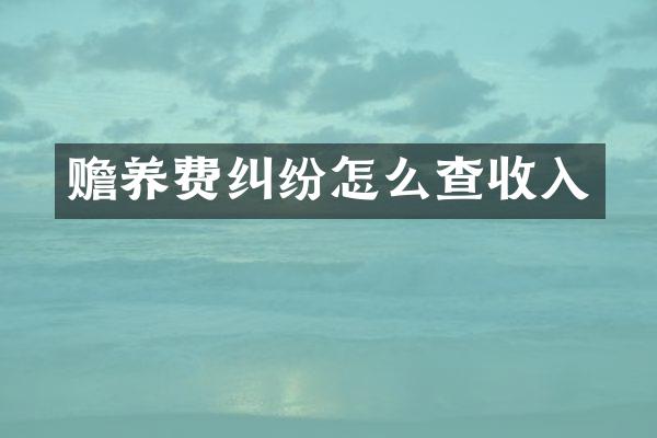赡养费纠纷怎么查收入