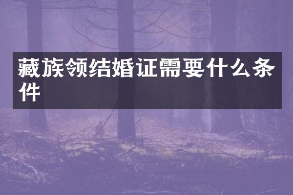 藏族领结婚证需要什么条件