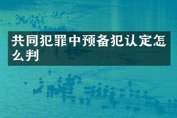 共同犯罪中预备犯认定怎么判