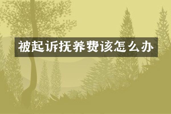 被起诉抚养费该怎么办
