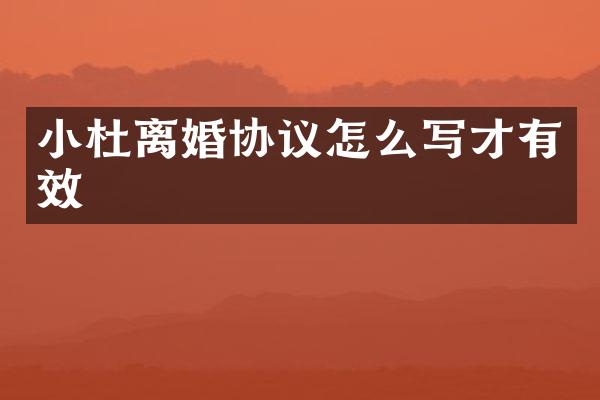 小杜离婚协议怎么写才有效