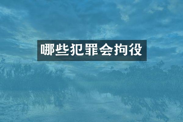 哪些犯罪会拘役
