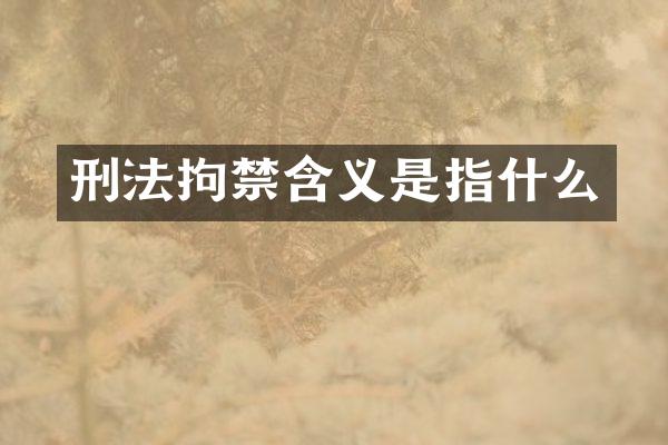 刑法拘禁含义是指什么