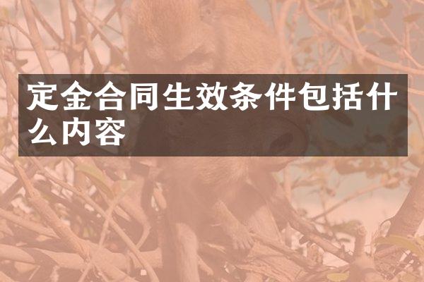 定金合同生效条件包括什么内容