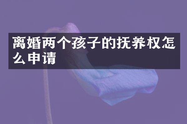 离婚两个孩子的抚养权怎么申请