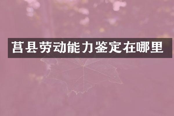 莒县劳动能力鉴定在哪里