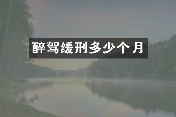 醉驾缓刑多少个月