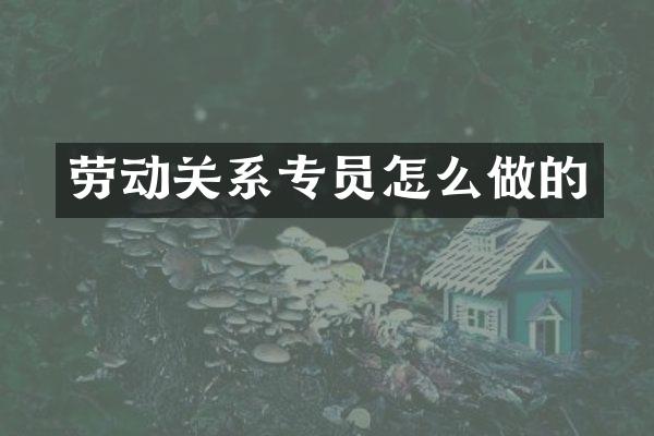 劳动关系专员怎么做的