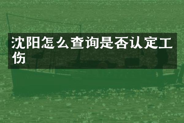 沈阳怎么查询是否认定工伤