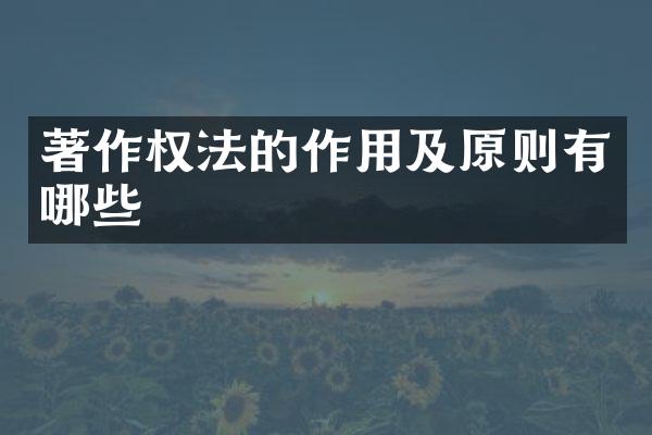著作权法的作用及原则有哪些