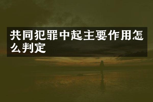 共同犯罪中起主要作用怎么判定