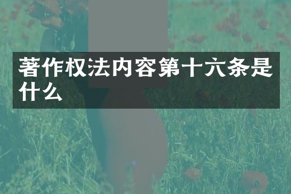 著作权法内容第十六条是什么