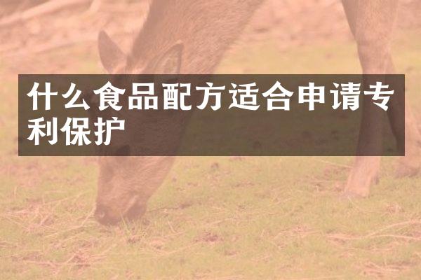 什么食品适合申请专利保护