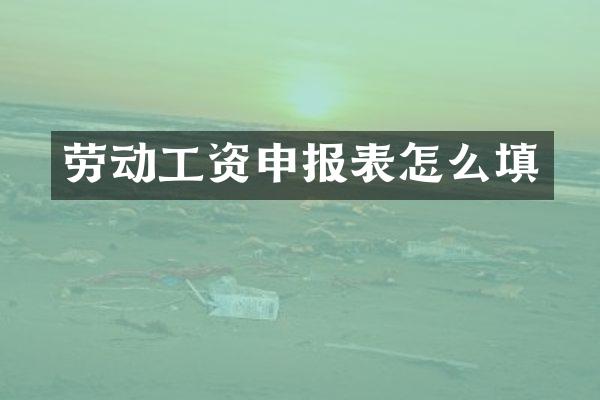 劳动工资申报表怎么填