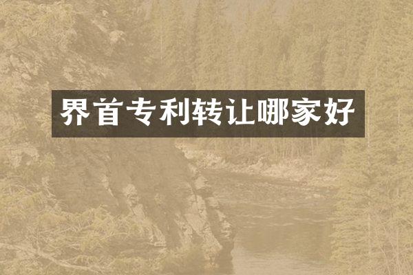 界首专利转让哪家好