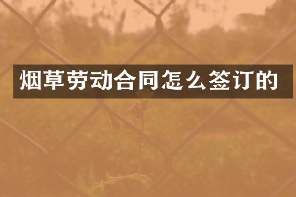 烟草劳动合同怎么签订的