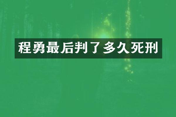 程勇最后判了多久死刑