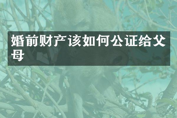 婚前财产该如何公证给父母