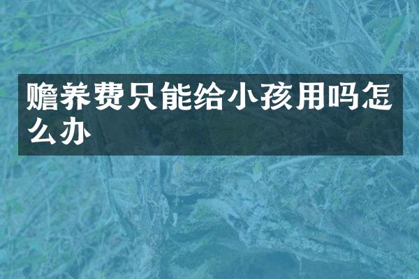 赡养费只能给小孩用吗怎么办