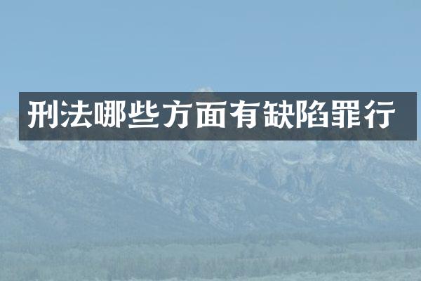 刑法哪些方面有缺陷罪行