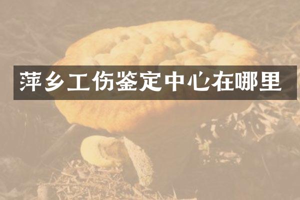 萍乡工伤鉴定中心在哪里