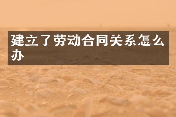 建立了劳动合同关系怎么办