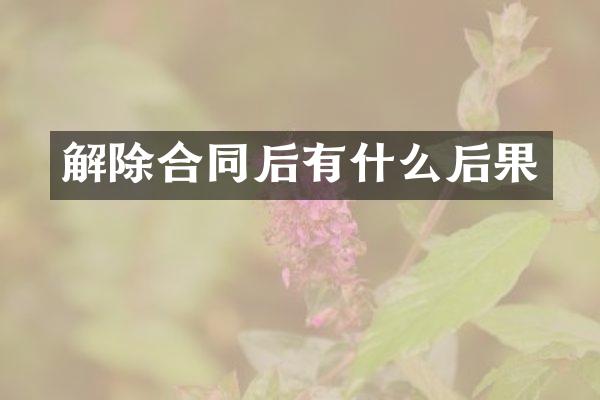 解除合同后有什么后果