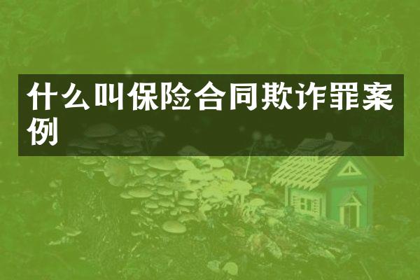 什么叫保险合同欺诈罪案例