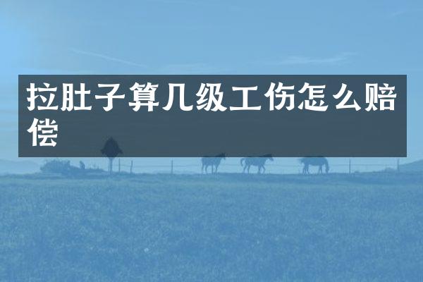 拉肚子算几级工伤怎么赔偿