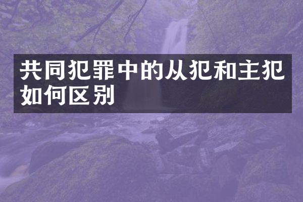 共同犯罪中的从犯和如何区别