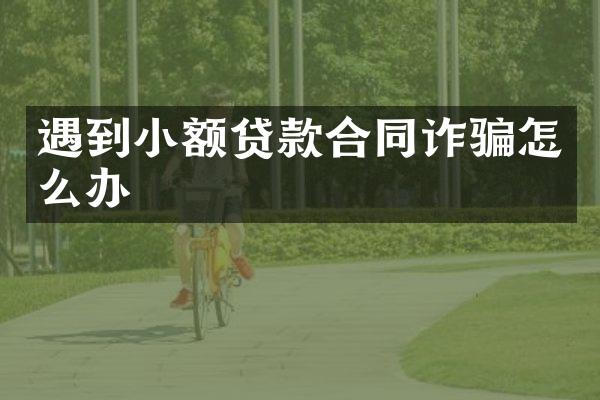 遇到小额贷款合同诈骗怎么办