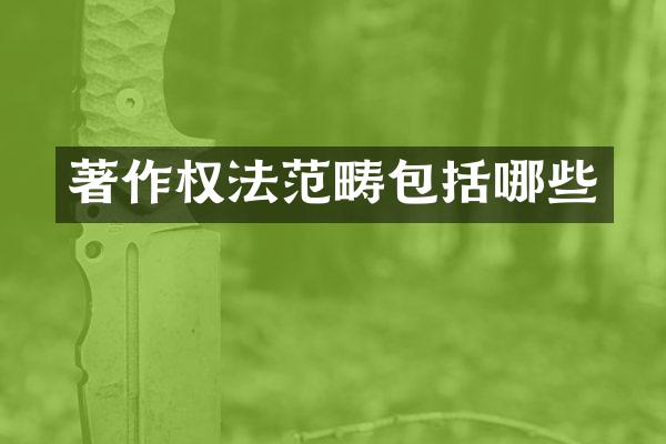 著作权法范畴包括哪些