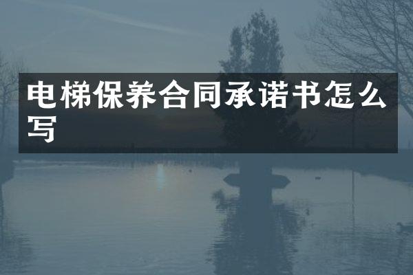 电梯保养合同承诺书怎么写