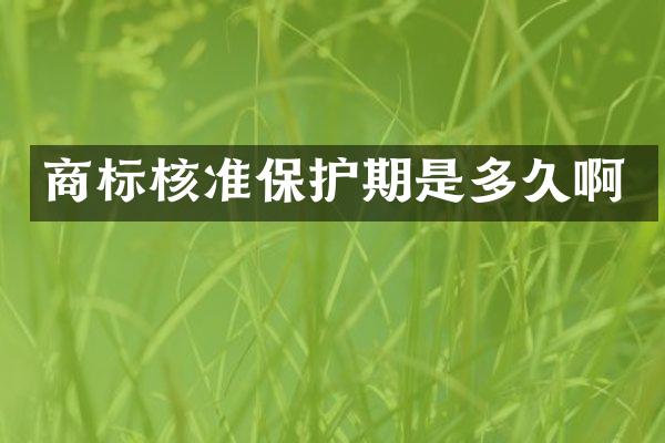 商标核准保护期是多久啊