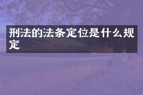 刑法的法条定位是什么规定