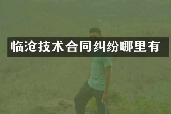 临沧技术合同纠纷哪里有