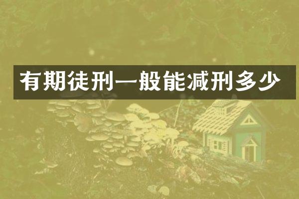 有期徒刑一般能减刑多少