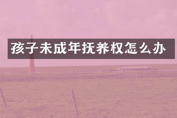 孩子未成年抚养权怎么办