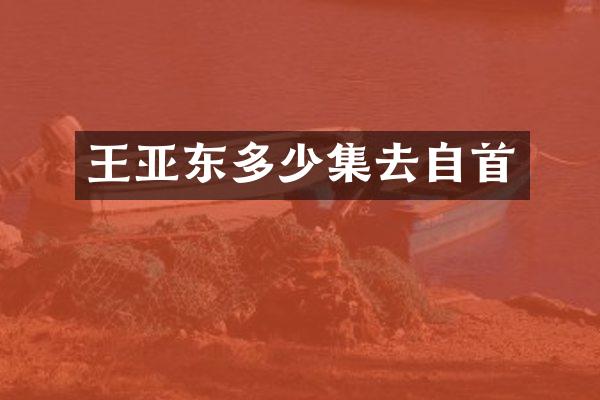 王亚东多少集去自首