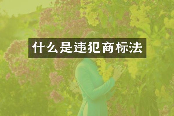 什么是违犯商标法