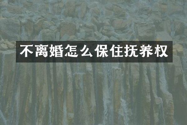 不离婚怎么保住抚养权