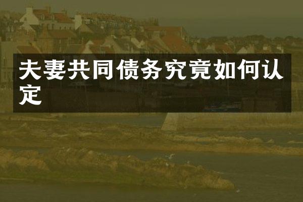 夫妻共同债务究竟如何认定