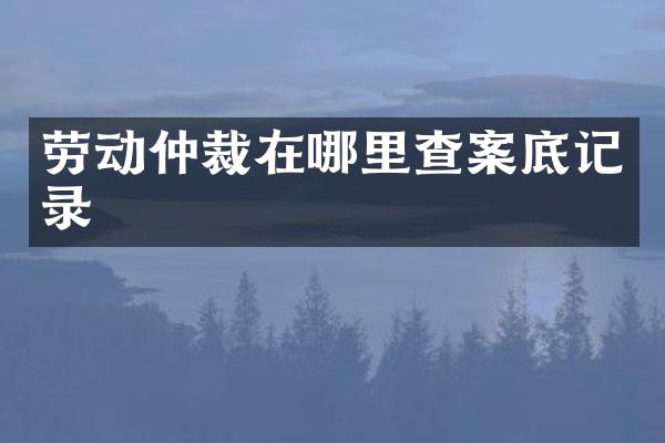 劳动仲裁在哪里查案底记录